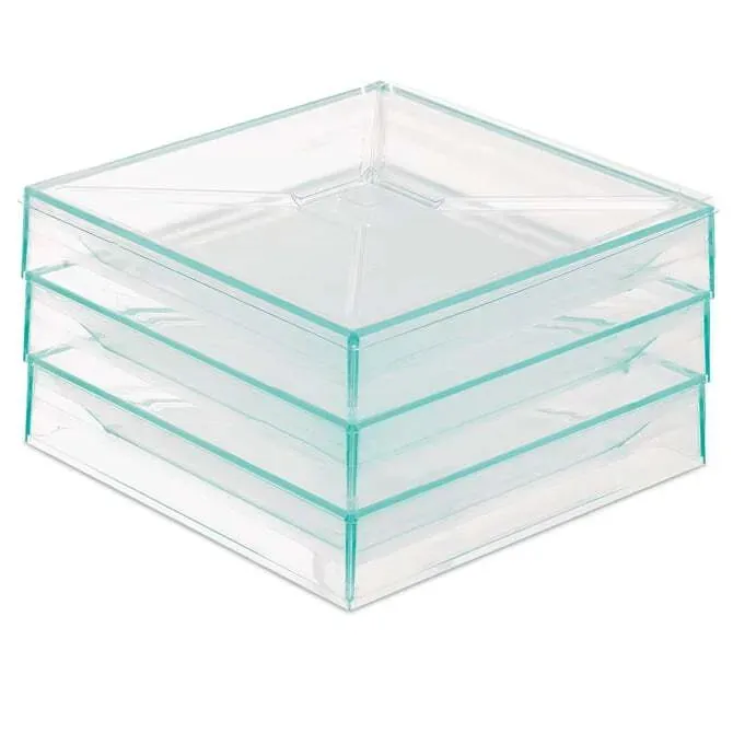 Comatec Bento Plate; Sea Green Plastic