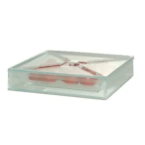 Comatec Bento Plate; Sea Green Plastic