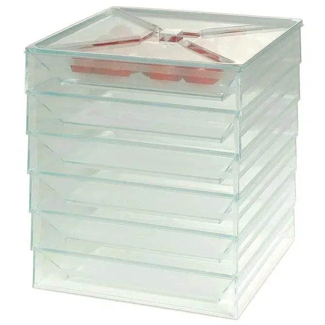 Comatec Bento Plate; Sea Green Plastic