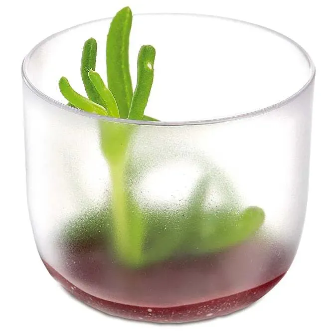 Comatec Frosted Mini Cup 2 ounce