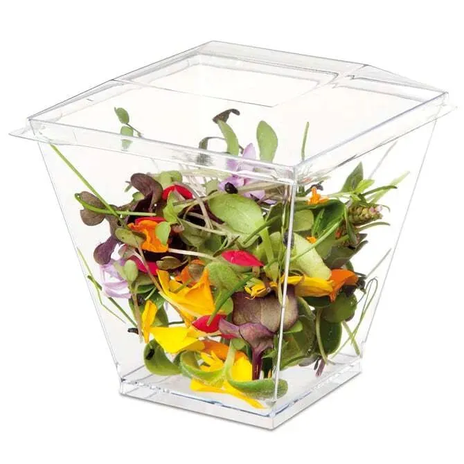 Comatec Kova Clear Geometric Dish - Clear